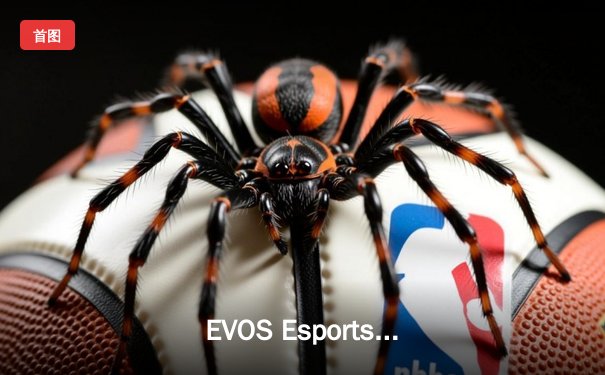 EVOS Esports 鏖战五局力克 RRQ，斩获《Mobile Legends》东南亚杯冠军